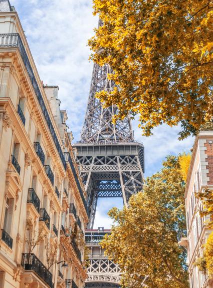 The Best Walks to Admire Autumn Colors in Paris