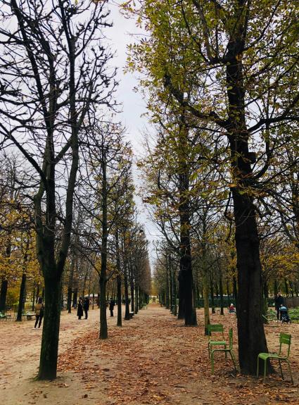 Nos parcs et espaces verts favoris pour une balade automnale